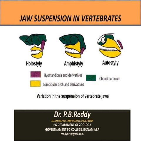 Jaw suspension in vertebrates [autosaved]