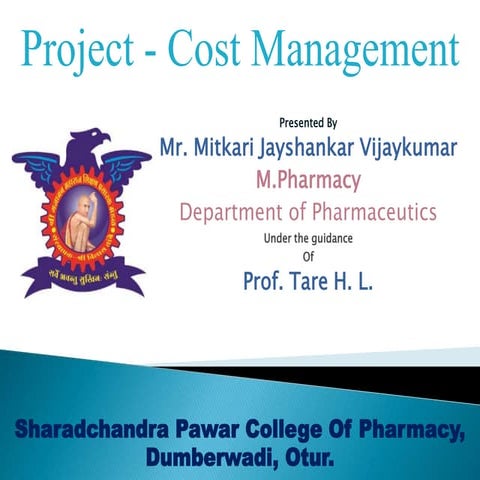 project cost management