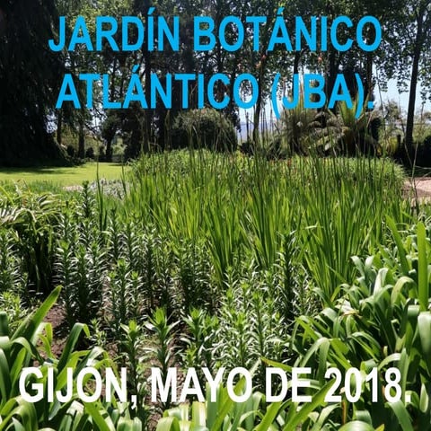 Jba gijon. factoria vegetal ala