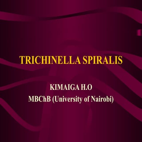 11. TRICHINELLA SPIRALIS power point presentation