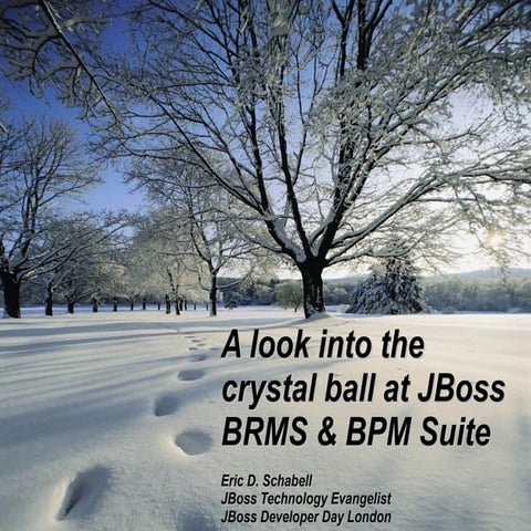 A look into the crystal ball at JBoss BRMS and BPM Suite