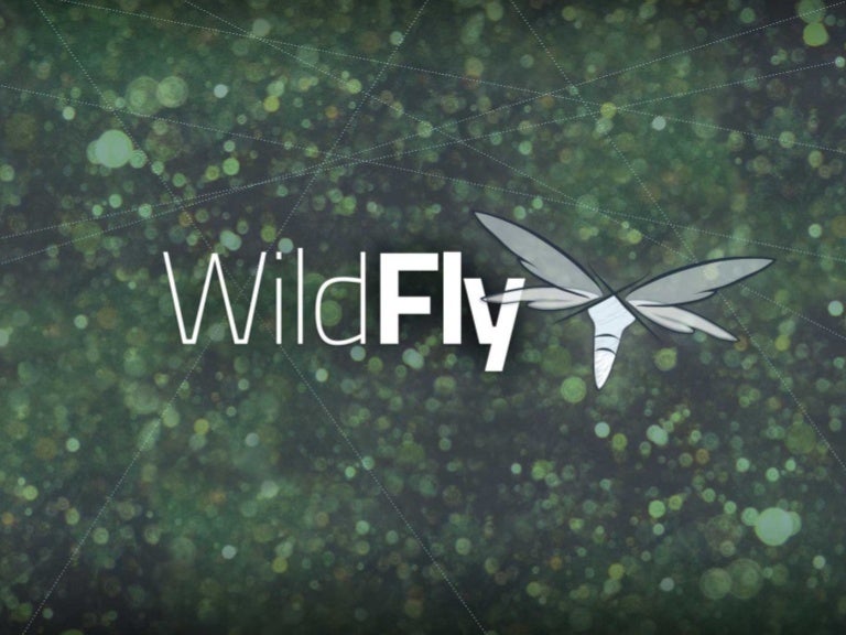 Extending WildFly