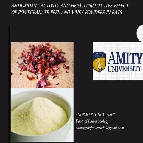 ANTIOXIDANT ACTIVITY AND HEPATOPROTECTIVE EFFECTOF POMEGRANATE PEEL AND WHEY...