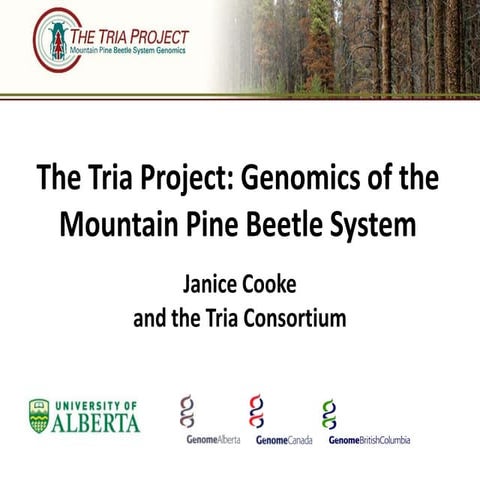 The Tria Project: Genomics of the Mountain Pine Beetle System