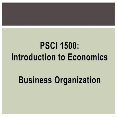 Topic 5 - Business Organization