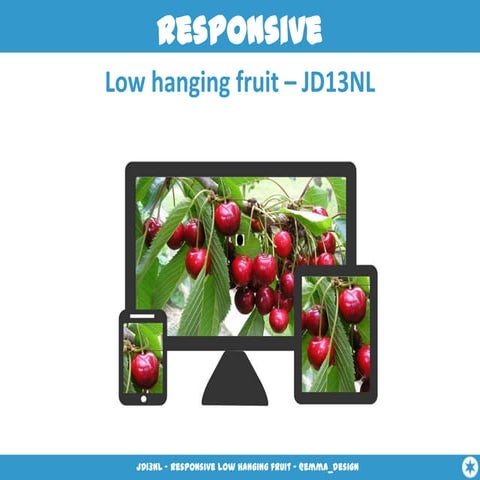 Jd13 nl responsivelowhangingfruit