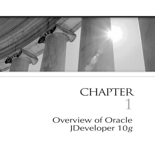 Jdev handbook-ch01-130992