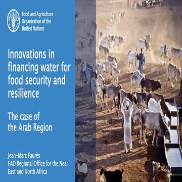 Presentation - Seventh Roundtable on Financing Agricultural Water - Jean Marc...