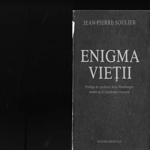 Jean pierre soulier   enigma vietii