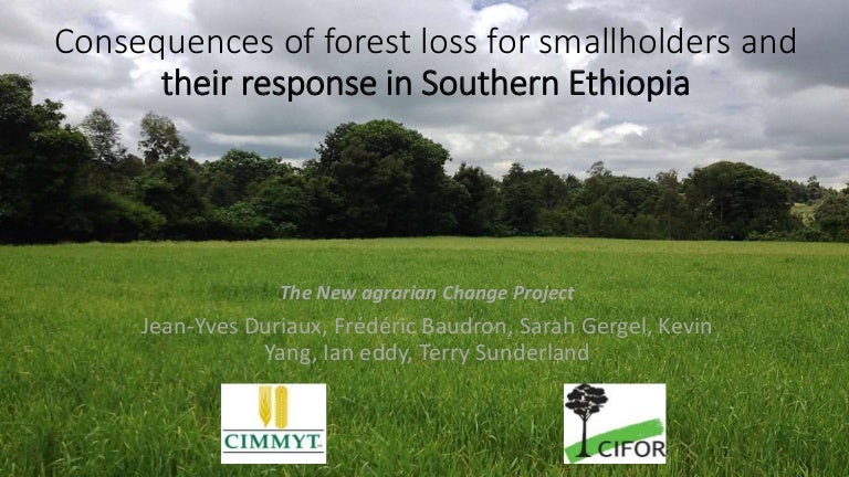 thumbnail of  Consequences of forest loss for smallholders and their response in Southern Ethiopia
