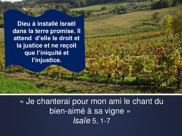 Diaporama Isaïe 5, 1-7 : "Le chant du bien-aimé à sa vigne"
