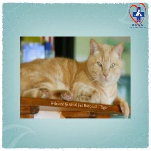 Jeevan school slides 2