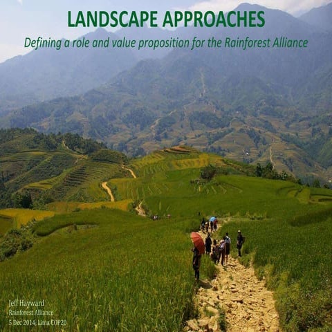 Landscape approache: Defining a role and value proposition for the Rainforest...