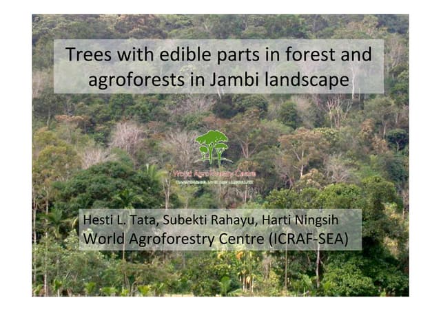 Trees with edible parts in forest and agroforests in Jambi landscape