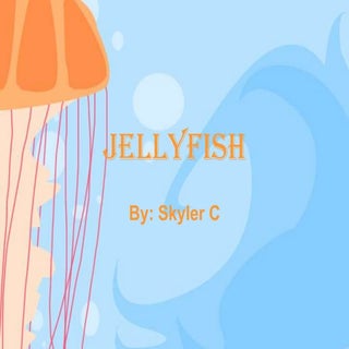 Jellyfish