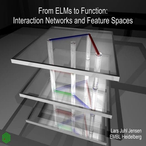 From ELMs to function: interaction networks and feature spaces