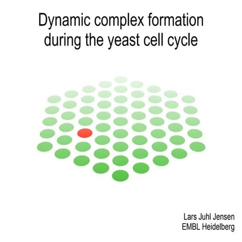 Dynamic complex formation during the yeast cell cycle