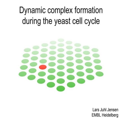 Dynamic complex formation during the yeast cell cycle