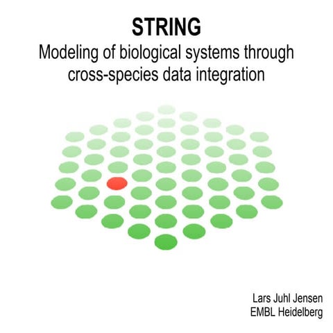 STRING - Modeling of biological systems through cross-species data integration
