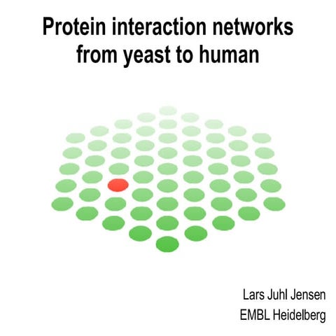 Protein interaction networks from yeast to human