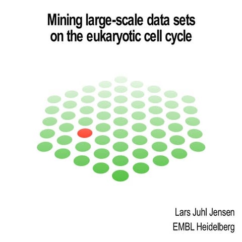 Mining large-scale data sets on the eukaryotic cell cycle
