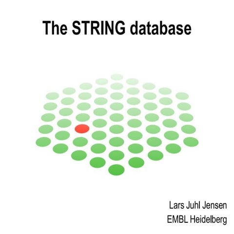 The STRING database | PPT