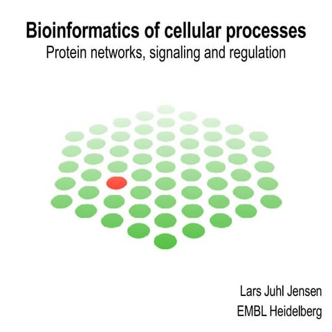 Bioinformatics of cellular processes