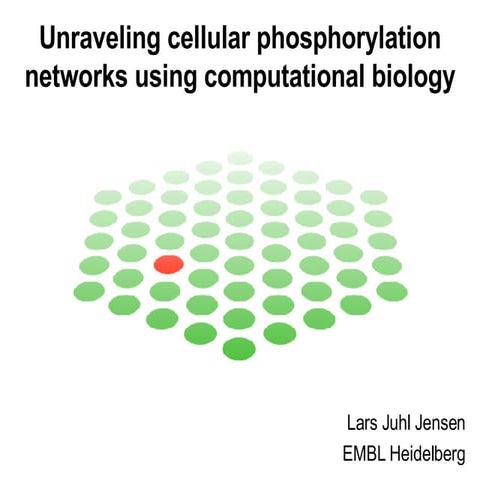 Unraveling cellular phosphorylation networks using computational biology