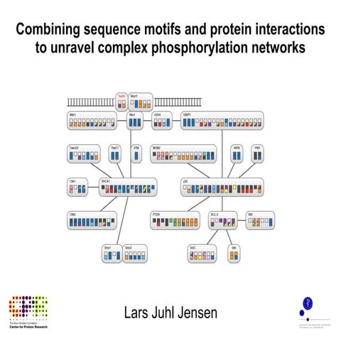 Combining sequence motifs and protein interactions to unravel complex phospho...