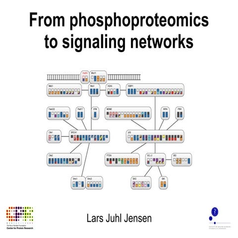 From phosphoproteomics to signaling networks