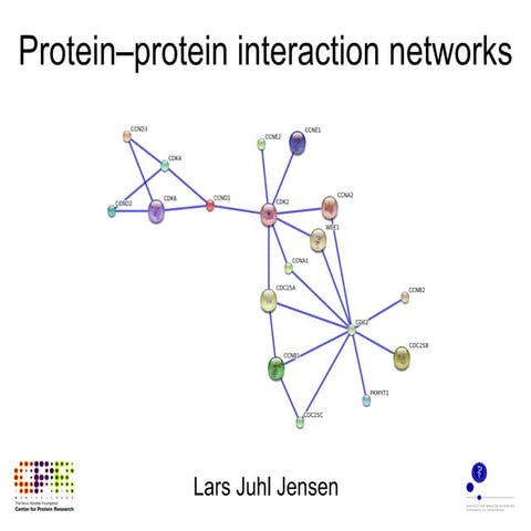 Protein–protein interaction networks
