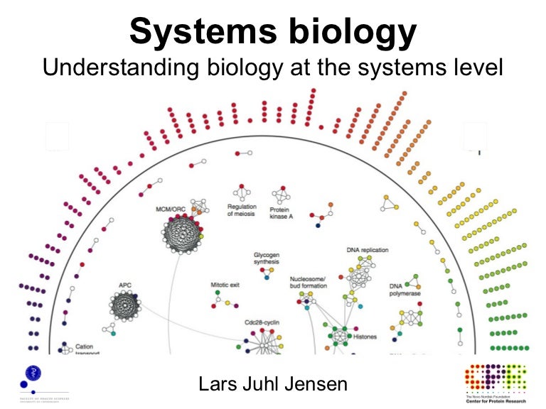 Systems biology Understanding biology at the systems level