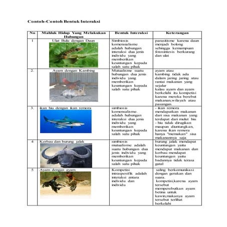 Jenis jenis simbiosis