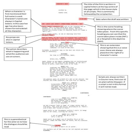 Script writting annalysis. | DOCX
