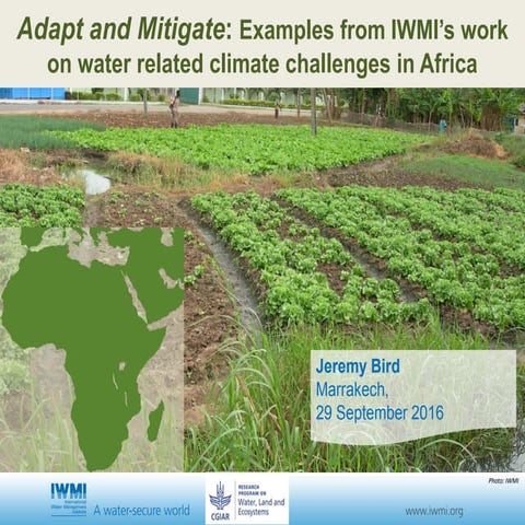 Adapt and Mitigate: Examples from IWMI’s work on water related climate challe...