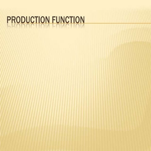 Production Function
