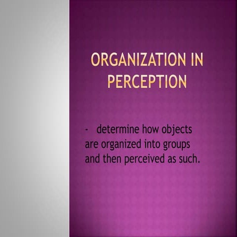 Organization in Perception