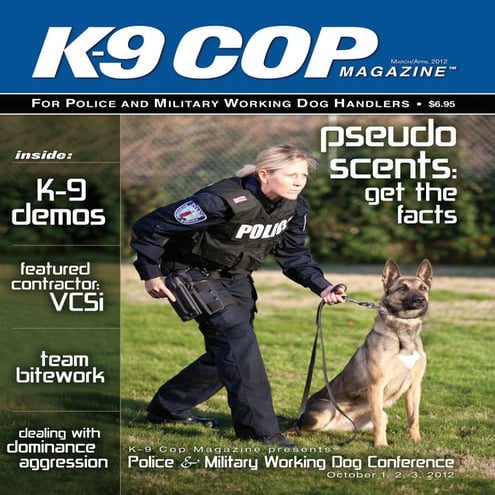 Dealing with Dominance Aggression