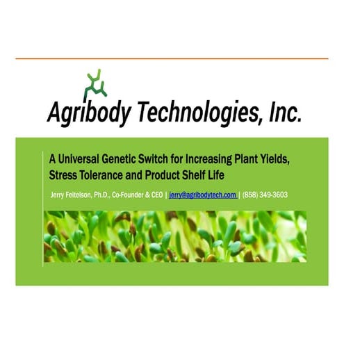 A Universal Genetic Switch for Increasing Plant Yields, Stress Tolerance and ...