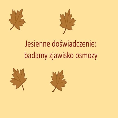 Jesienne doświadczenie