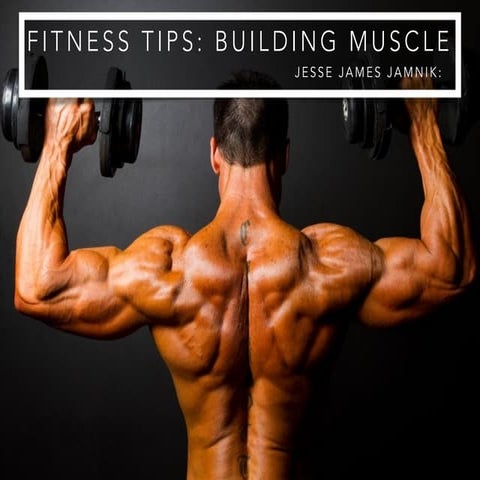 Jesse James Jamnik: Fitness Tips - Building Muscle