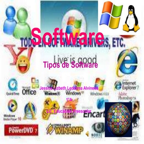 Tipos de Software