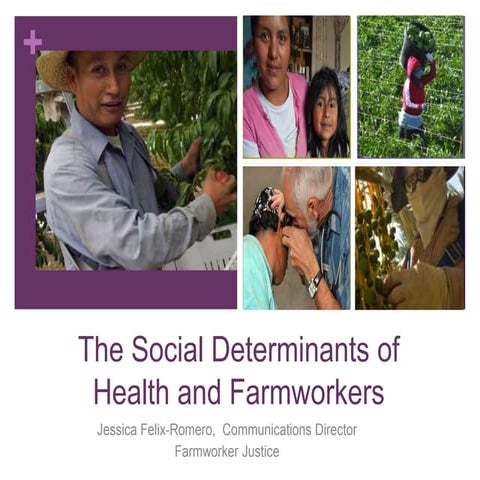 The Social Determinants of Health and Farmworkers