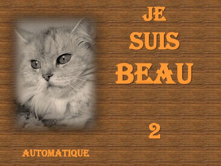 Je suis beau 2 I am beautiful 2