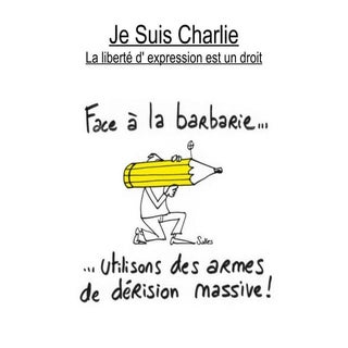 Attentats de Charlie Hebdo : réacti...