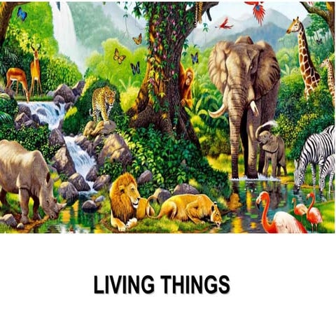 Jesus,raul,pablo,berta y candela