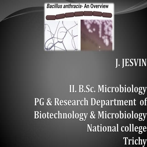 bacillus anthracis [ anthrax ] | PPT