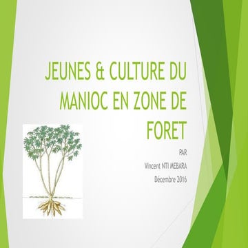 Jeunes et culture du manioc en zone de fôret