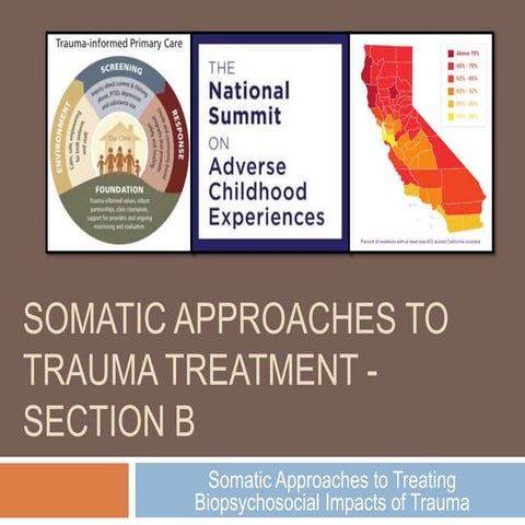 Somatic Approaches Treating biopsychosocial Impacts of Trauma 