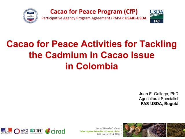 Cacao for Peace Activities for Tackling the Cadmium in Cacao Issue    in Colombia